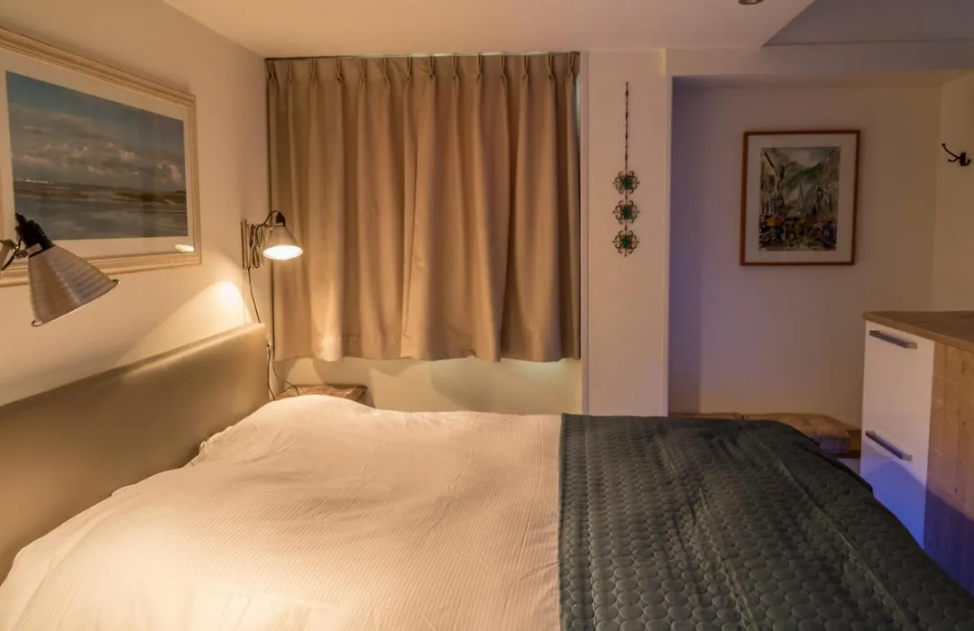 B&B Amsterdam De Springer-1
